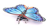 3D Educational Puzzle - Insects